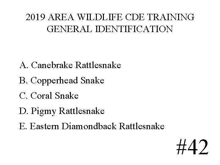 2019 AREA WILDLIFE CDE TRAINING GENERAL IDENTIFICATION A. Canebrake Rattlesnake B. Copperhead Snake C. 2019 AREA WILDLIFE CDE TRAINING GENERAL IDENTIFICATION A. Canebrake Rattlesnake B. Copperhead Snake C.