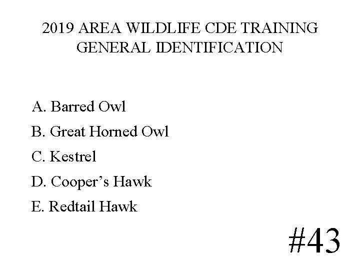 2019 AREA WILDLIFE CDE TRAINING GENERAL IDENTIFICATION A. Barred Owl B. Great Horned Owl 2019 AREA WILDLIFE CDE TRAINING GENERAL IDENTIFICATION A. Barred Owl B. Great Horned Owl