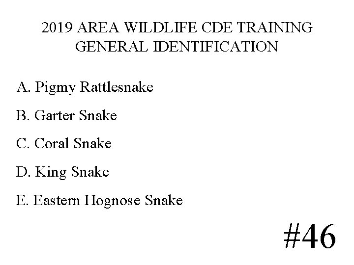 2019 AREA WILDLIFE CDE TRAINING GENERAL IDENTIFICATION A. Pigmy Rattlesnake B. Garter Snake C. 2019 AREA WILDLIFE CDE TRAINING GENERAL IDENTIFICATION A. Pigmy Rattlesnake B. Garter Snake C.