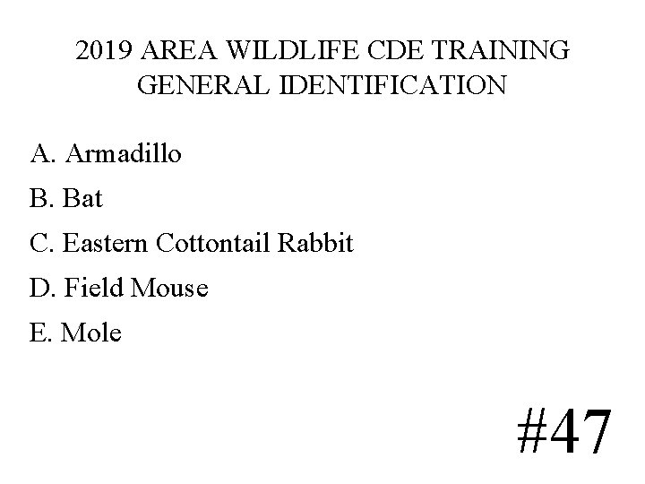 2019 AREA WILDLIFE CDE TRAINING GENERAL IDENTIFICATION A. Armadillo B. Bat C. Eastern Cottontail 2019 AREA WILDLIFE CDE TRAINING GENERAL IDENTIFICATION A. Armadillo B. Bat C. Eastern Cottontail