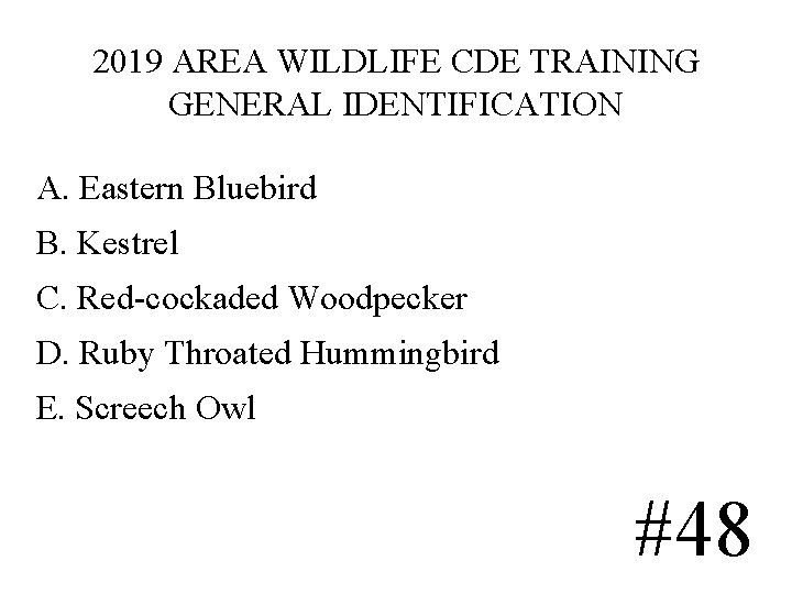 2019 AREA WILDLIFE CDE TRAINING GENERAL IDENTIFICATION A. Eastern Bluebird B. Kestrel C. Red-cockaded 2019 AREA WILDLIFE CDE TRAINING GENERAL IDENTIFICATION A. Eastern Bluebird B. Kestrel C. Red-cockaded
