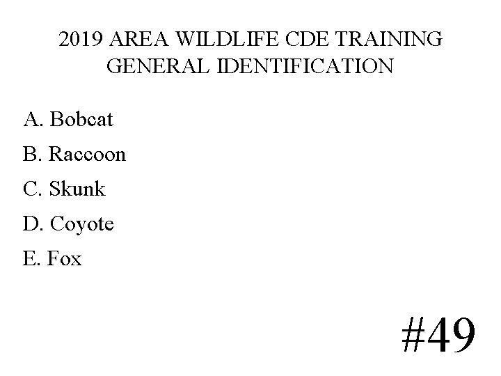 2019 AREA WILDLIFE CDE TRAINING GENERAL IDENTIFICATION A. Bobcat B. Raccoon C. Skunk D. 2019 AREA WILDLIFE CDE TRAINING GENERAL IDENTIFICATION A. Bobcat B. Raccoon C. Skunk D.