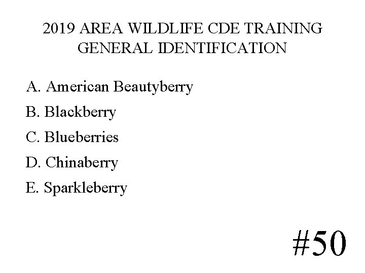 2019 AREA WILDLIFE CDE TRAINING GENERAL IDENTIFICATION A. American Beautyberry B. Blackberry C. Blueberries 2019 AREA WILDLIFE CDE TRAINING GENERAL IDENTIFICATION A. American Beautyberry B. Blackberry C. Blueberries