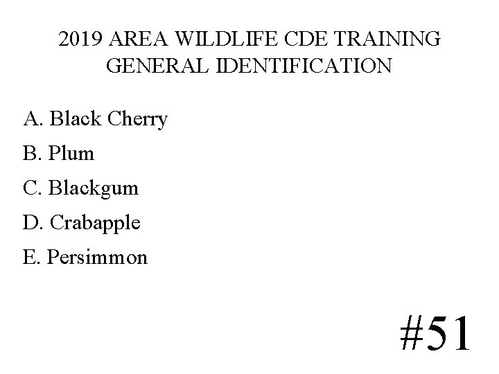 2019 AREA WILDLIFE CDE TRAINING GENERAL IDENTIFICATION A. Black Cherry B. Plum C. Blackgum 2019 AREA WILDLIFE CDE TRAINING GENERAL IDENTIFICATION A. Black Cherry B. Plum C. Blackgum
