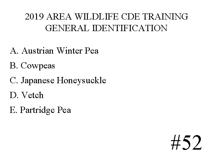 2019 AREA WILDLIFE CDE TRAINING GENERAL IDENTIFICATION A. Austrian Winter Pea B. Cowpeas C. 2019 AREA WILDLIFE CDE TRAINING GENERAL IDENTIFICATION A. Austrian Winter Pea B. Cowpeas C.