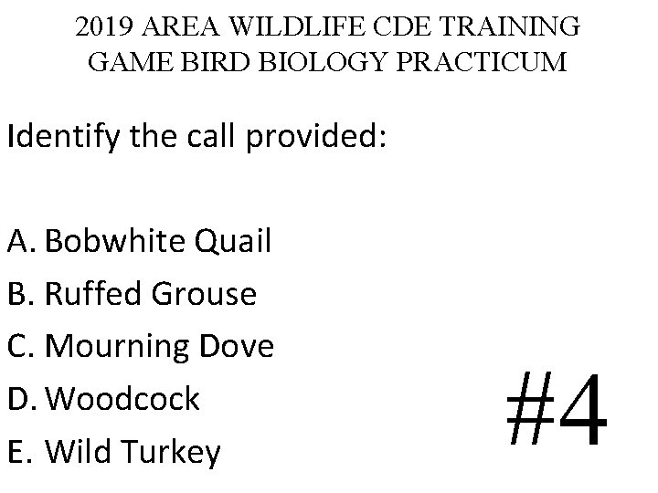 2019 AREA WILDLIFE CDE TRAINING GAME BIRD BIOLOGY PRACTICUM Identify the call provided: A. 2019 AREA WILDLIFE CDE TRAINING GAME BIRD BIOLOGY PRACTICUM Identify the call provided: A.