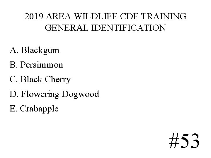 2019 AREA WILDLIFE CDE TRAINING GENERAL IDENTIFICATION A. Blackgum B. Persimmon C. Black Cherry 2019 AREA WILDLIFE CDE TRAINING GENERAL IDENTIFICATION A. Blackgum B. Persimmon C. Black Cherry