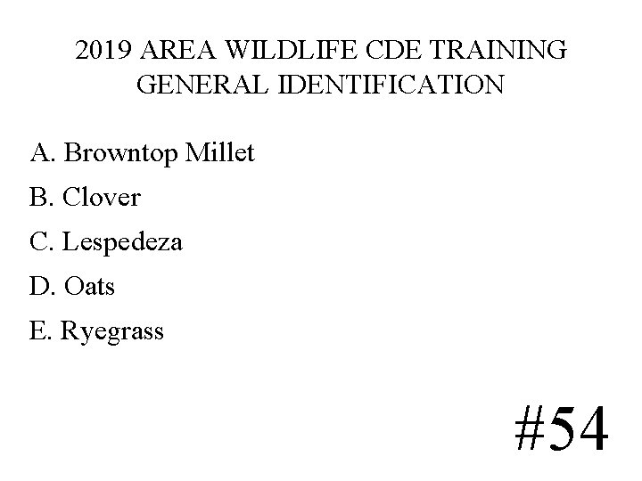 2019 AREA WILDLIFE CDE TRAINING GENERAL IDENTIFICATION A. Browntop Millet B. Clover C. Lespedeza 2019 AREA WILDLIFE CDE TRAINING GENERAL IDENTIFICATION A. Browntop Millet B. Clover C. Lespedeza
