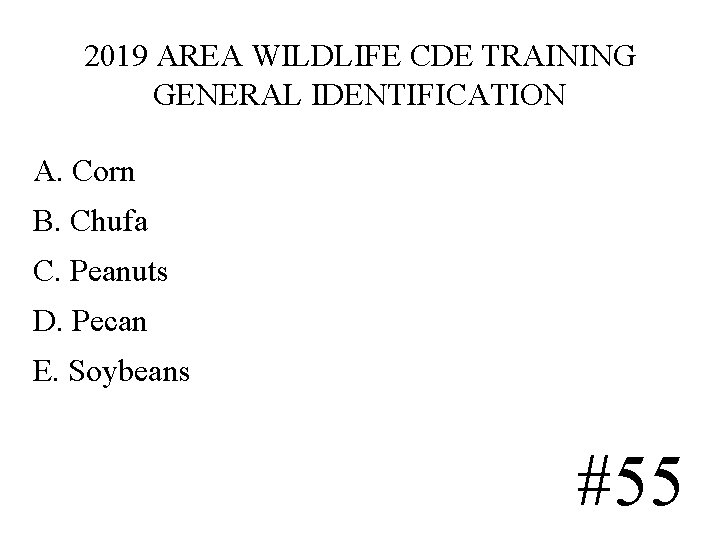 2019 AREA WILDLIFE CDE TRAINING GENERAL IDENTIFICATION A. Corn B. Chufa C. Peanuts D. 2019 AREA WILDLIFE CDE TRAINING GENERAL IDENTIFICATION A. Corn B. Chufa C. Peanuts D.