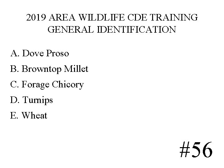 2019 AREA WILDLIFE CDE TRAINING GENERAL IDENTIFICATION A. Dove Proso B. Browntop Millet C. 2019 AREA WILDLIFE CDE TRAINING GENERAL IDENTIFICATION A. Dove Proso B. Browntop Millet C.
