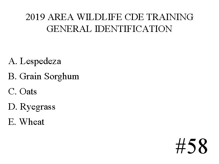 2019 AREA WILDLIFE CDE TRAINING GENERAL IDENTIFICATION A. Lespedeza B. Grain Sorghum C. Oats 2019 AREA WILDLIFE CDE TRAINING GENERAL IDENTIFICATION A. Lespedeza B. Grain Sorghum C. Oats