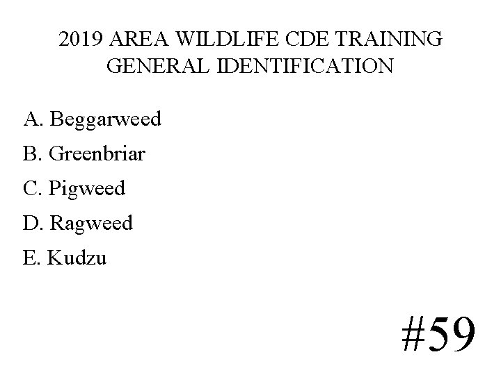 2019 AREA WILDLIFE CDE TRAINING GENERAL IDENTIFICATION A. Beggarweed B. Greenbriar C. Pigweed D. 2019 AREA WILDLIFE CDE TRAINING GENERAL IDENTIFICATION A. Beggarweed B. Greenbriar C. Pigweed D.