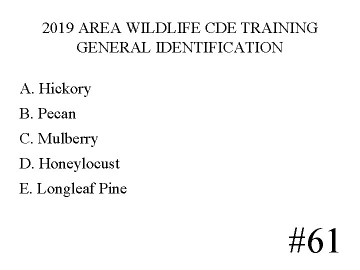 2019 AREA WILDLIFE CDE TRAINING GENERAL IDENTIFICATION A. Hickory B. Pecan C. Mulberry D. 2019 AREA WILDLIFE CDE TRAINING GENERAL IDENTIFICATION A. Hickory B. Pecan C. Mulberry D.