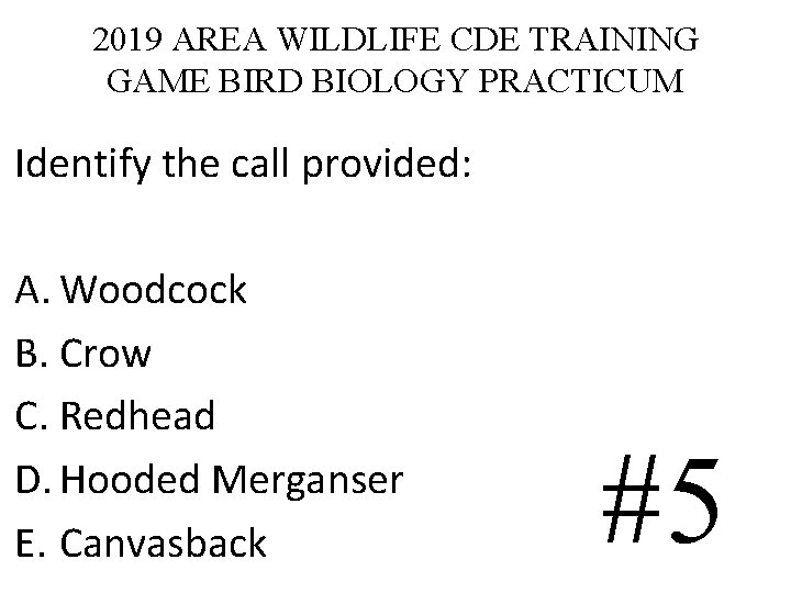 2019 AREA WILDLIFE CDE TRAINING GAME BIRD BIOLOGY PRACTICUM Identify the call provided: A. 2019 AREA WILDLIFE CDE TRAINING GAME BIRD BIOLOGY PRACTICUM Identify the call provided: A.