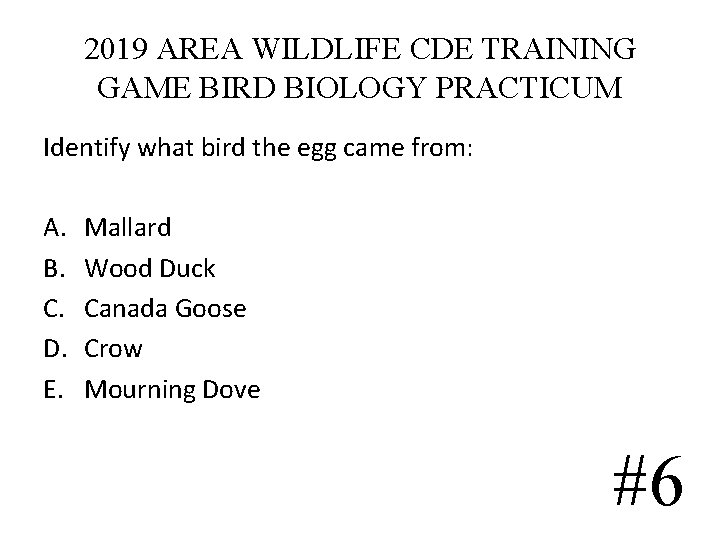 2019 AREA WILDLIFE CDE TRAINING GAME BIRD BIOLOGY PRACTICUM Identify what bird the egg 2019 AREA WILDLIFE CDE TRAINING GAME BIRD BIOLOGY PRACTICUM Identify what bird the egg