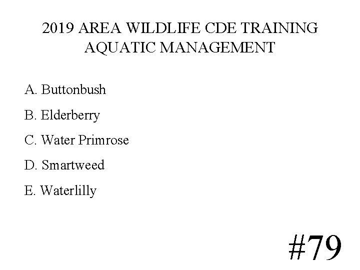 2019 AREA WILDLIFE CDE TRAINING AQUATIC MANAGEMENT A. Buttonbush B. Elderberry C. Water Primrose 2019 AREA WILDLIFE CDE TRAINING AQUATIC MANAGEMENT A. Buttonbush B. Elderberry C. Water Primrose