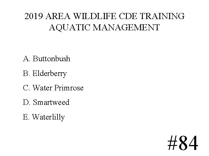 2019 AREA WILDLIFE CDE TRAINING AQUATIC MANAGEMENT A. Buttonbush B. Elderberry C. Water Primrose 2019 AREA WILDLIFE CDE TRAINING AQUATIC MANAGEMENT A. Buttonbush B. Elderberry C. Water Primrose