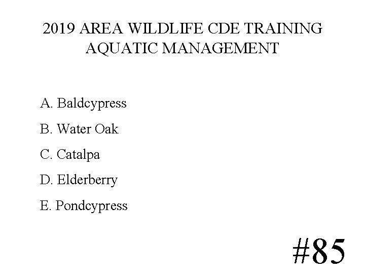 2019 AREA WILDLIFE CDE TRAINING AQUATIC MANAGEMENT A. Baldcypress B. Water Oak C. Catalpa 2019 AREA WILDLIFE CDE TRAINING AQUATIC MANAGEMENT A. Baldcypress B. Water Oak C. Catalpa