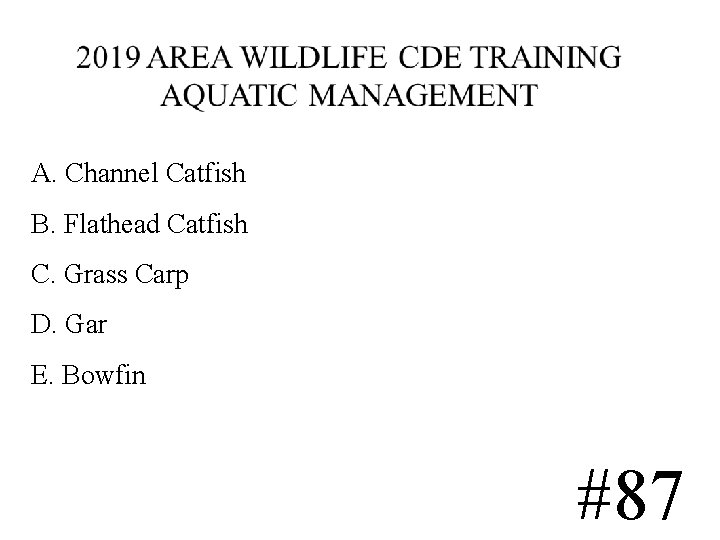 A. Channel Catfish B. Flathead Catfish C. Grass Carp D. Gar E. Bowfin #87 A. Channel Catfish B. Flathead Catfish C. Grass Carp D. Gar E. Bowfin #87