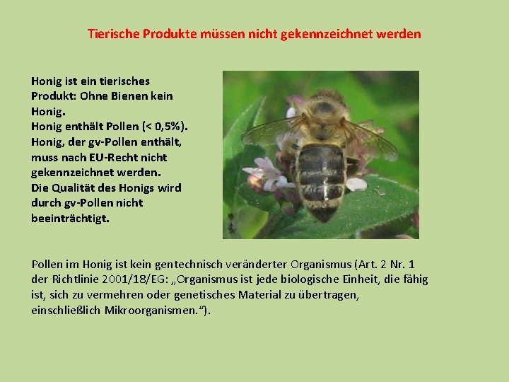 Tierische Produkte müssen nicht gekennzeichnet werden Honig ist ein tierisches Produkt: Ohne Bienen kein