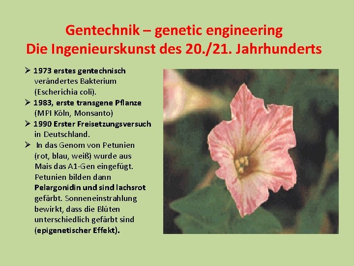 Gentechnik – genetic engineering Die Ingenieurskunst des 20. /21. Jahrhunderts Ø 1973 erstes gentechnisch