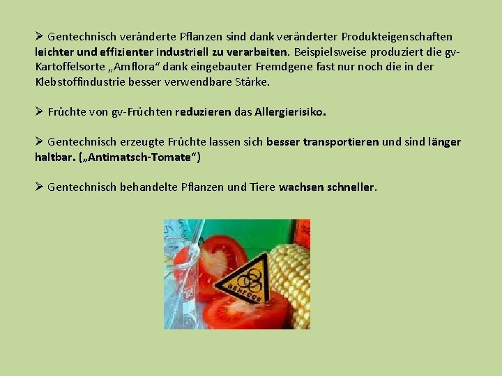 Ø Gentechnisch veränderte Pflanzen sind dank veränderter Produkteigenschaften leichter und effizienter industriell zu verarbeiten.