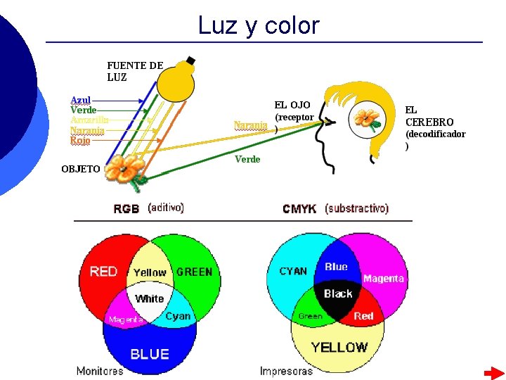 Luz y color Luz y color