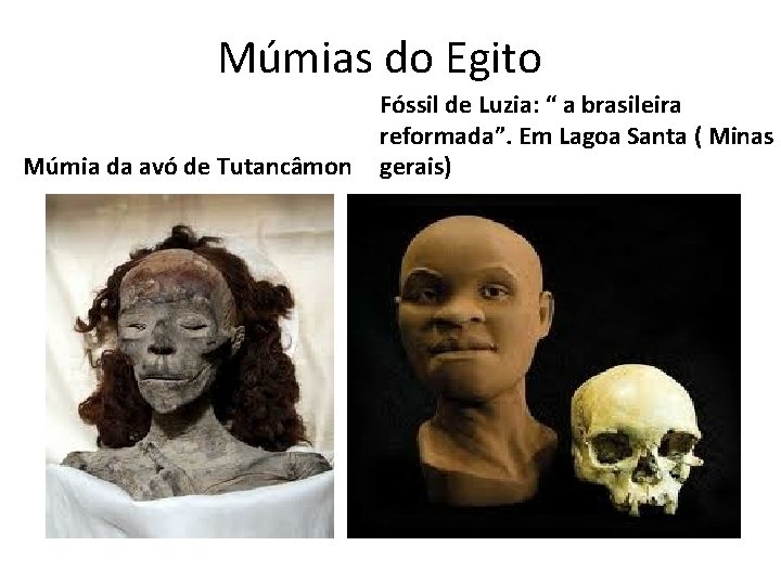 Múmias do Egito Múmia da avó de Tutancâmon Fóssil de Luzia: “ a brasileira