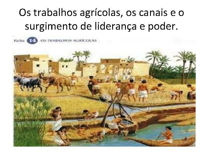 Os trabalhos agrícolas, os canais e o surgimento de liderança e poder. 