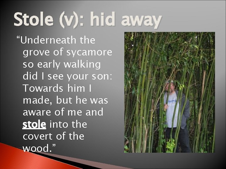 Stole (v): hid away “Underneath the grove of sycamore so early walking did I