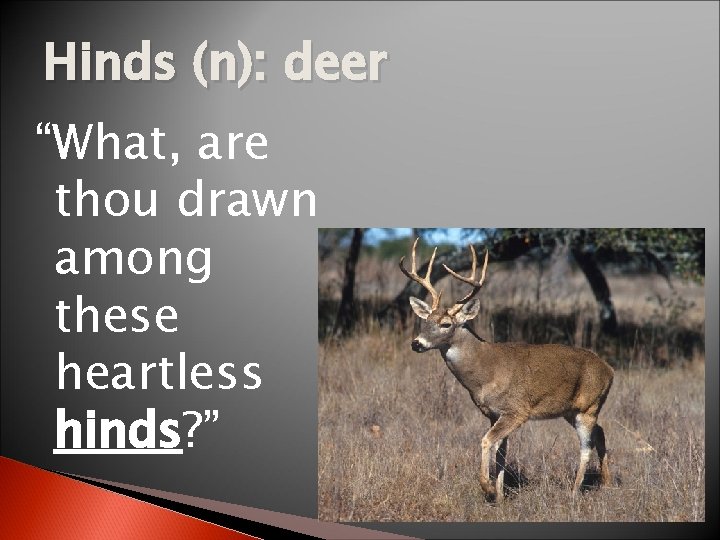 Hinds (n): deer “What, are thou drawn among these heartless hinds? ” 