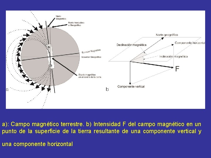 a): Campo magnético terrestre. b) Intensidad F del campo magnético en un punto de