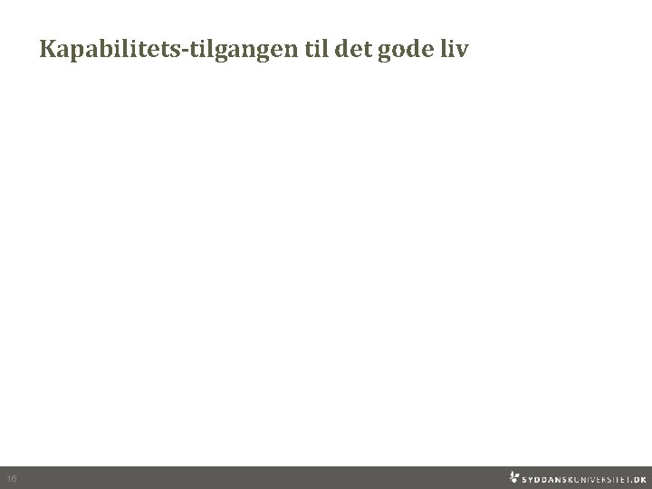 Kapabilitets-tilgangen til det gode liv 16 
