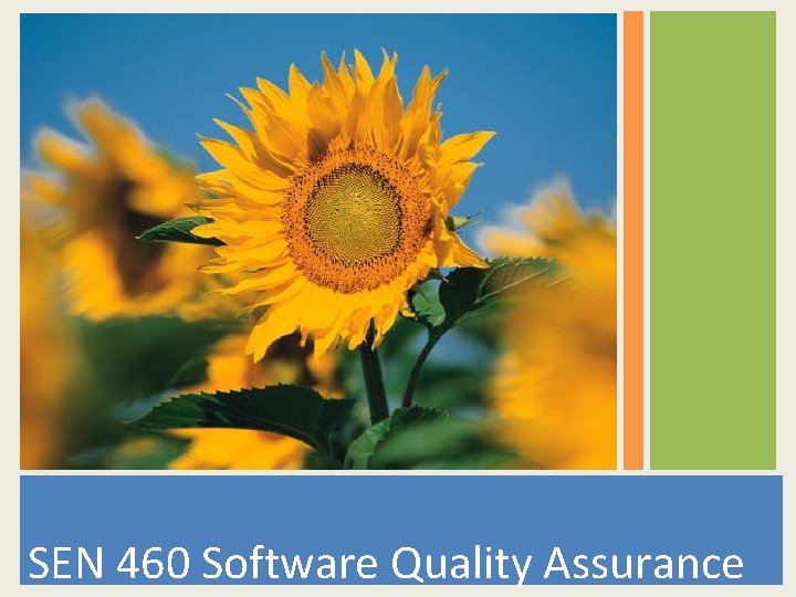 SEN 460 Software Quality Assurance 