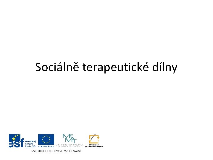 Sociálně terapeutické dílny 