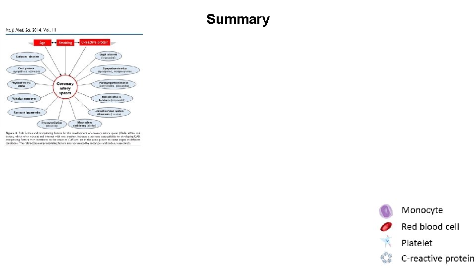 Summary Monocyte Red blood cell Platelet C-reactive protein 