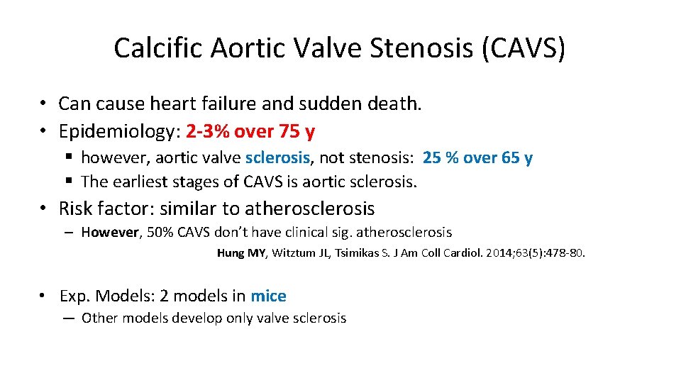 Calcific Aortic Valve Stenosis (CAVS) • Can cause heart failure and sudden death. •