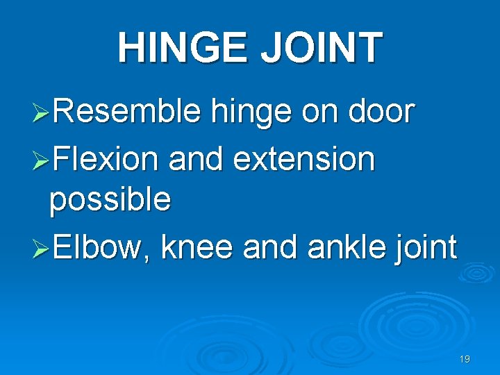 HINGE JOINT ØResemble hinge on door ØFlexion and extension possible ØElbow, knee and ankle