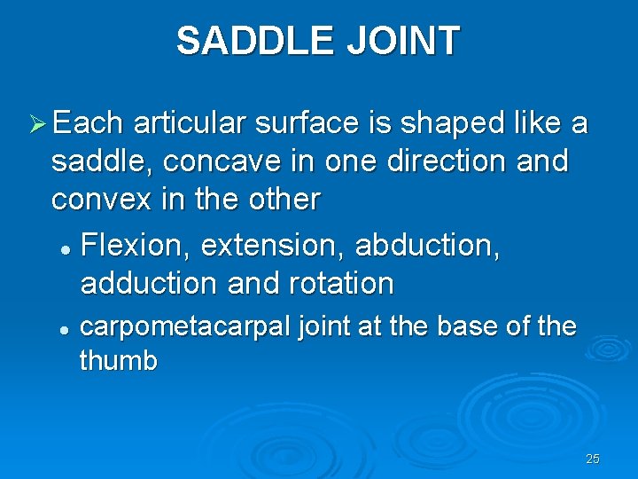 SADDLE JOINT Ø Each articular surface is shaped like a saddle, concave in one
