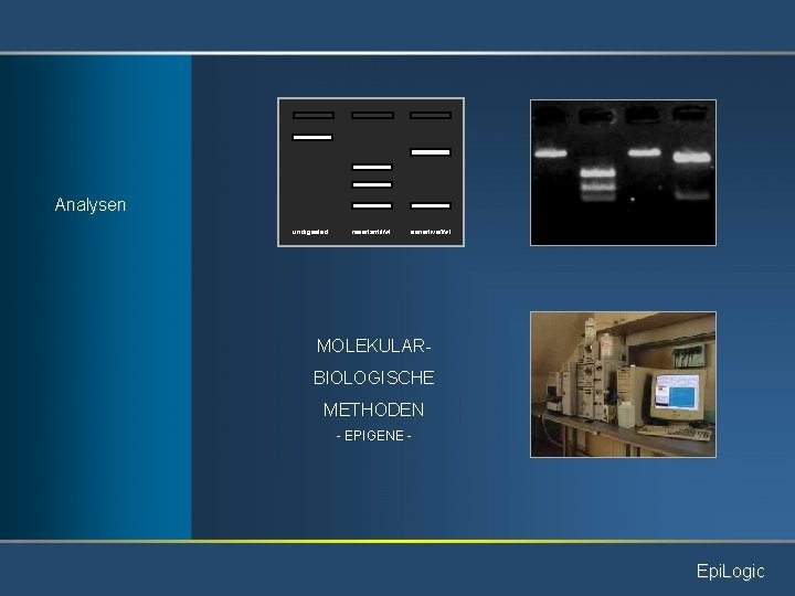 Analysen undigested resistant/Ita. I sensitive/Ita. I MOLEKULARBIOLOGISCHE METHODEN - EPIGENE - Epi. Logic 