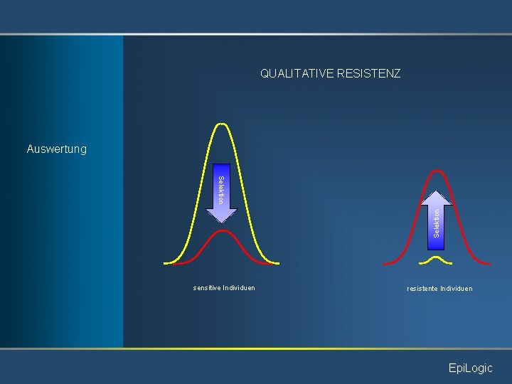 QUALITATIVE RESISTENZ Auswertung Selektion sensitive Individuen resistente Individuen Epi. Logic 