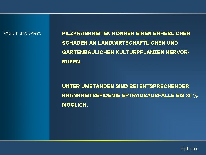 Warum und Wieso PILZKRANKHEITEN KÖNNEN EINEN ERHEBLICHEN SCHADEN AN LANDWIRTSCHAFTLICHEN UND GARTENBAULICHEN KULTURPFLANZEN HERVORRUFEN.