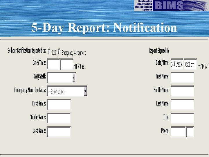 5 -Day Report: Notification 
