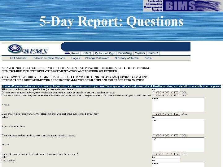 5 -Day Report: Questions 