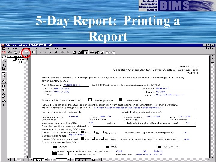 5 -Day Report: Printing a Report 