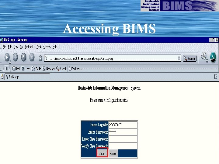 Accessing BIMS 