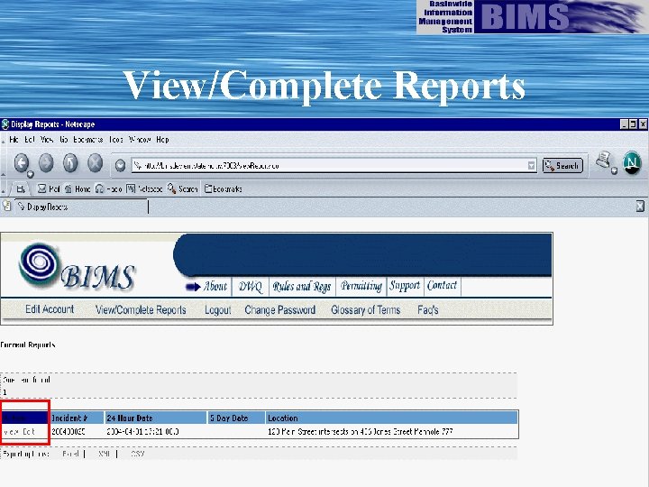 View/Complete Reports 