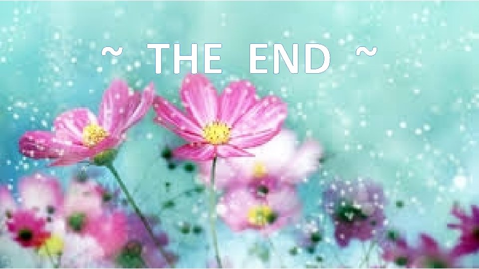 ~ THE END ~ 