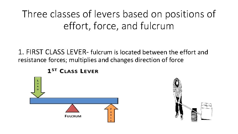 Three classes of levers based on positions of effort, force, and fulcrum 1. FIRST