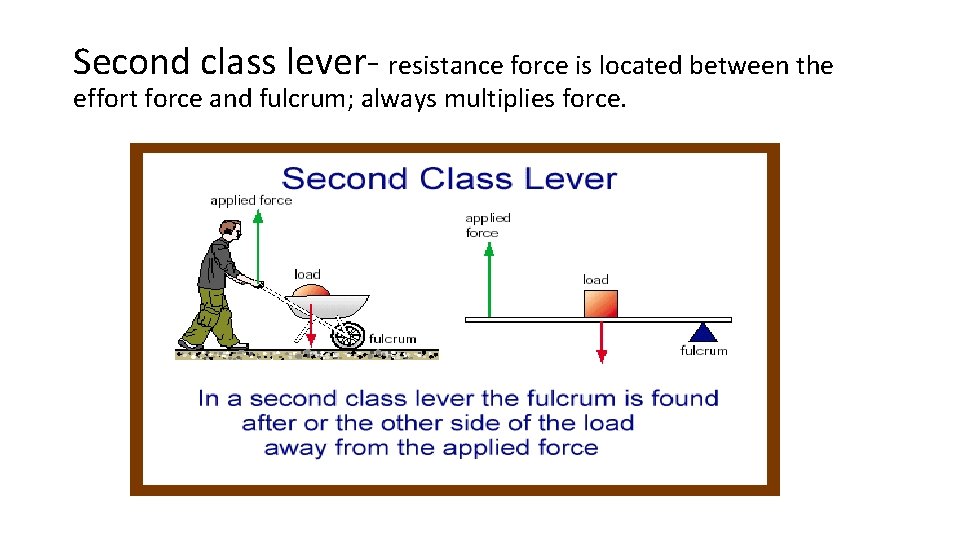 Second class lever- resistance force is located between the effort force and fulcrum; always